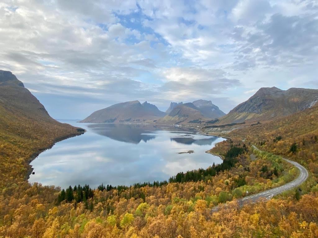 Ferrytale, Cozy, Spacious House On Senja Gryllefjord Luaran gambar