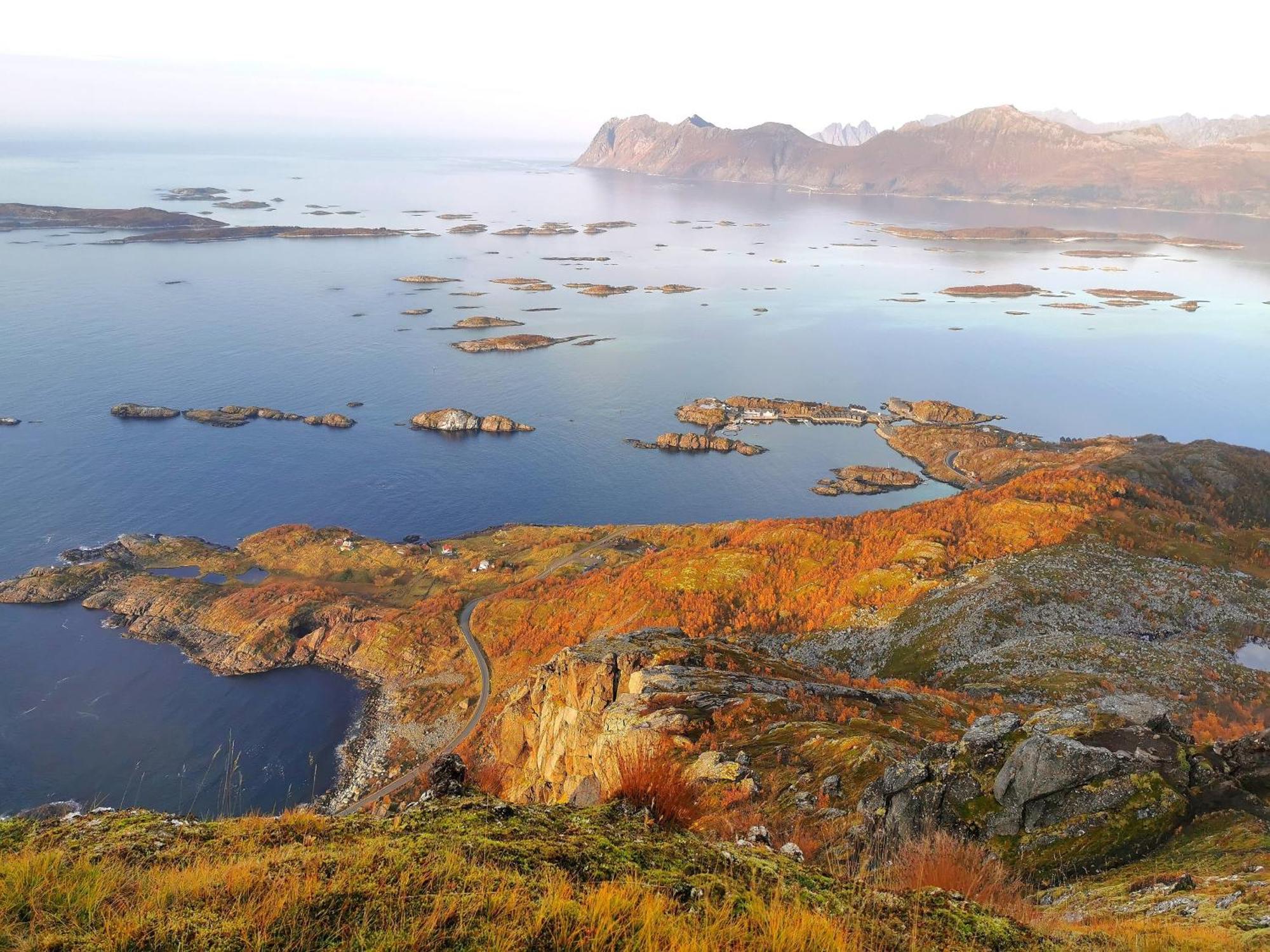 Ferrytale, Cozy, Spacious House On Senja Gryllefjord Luaran gambar