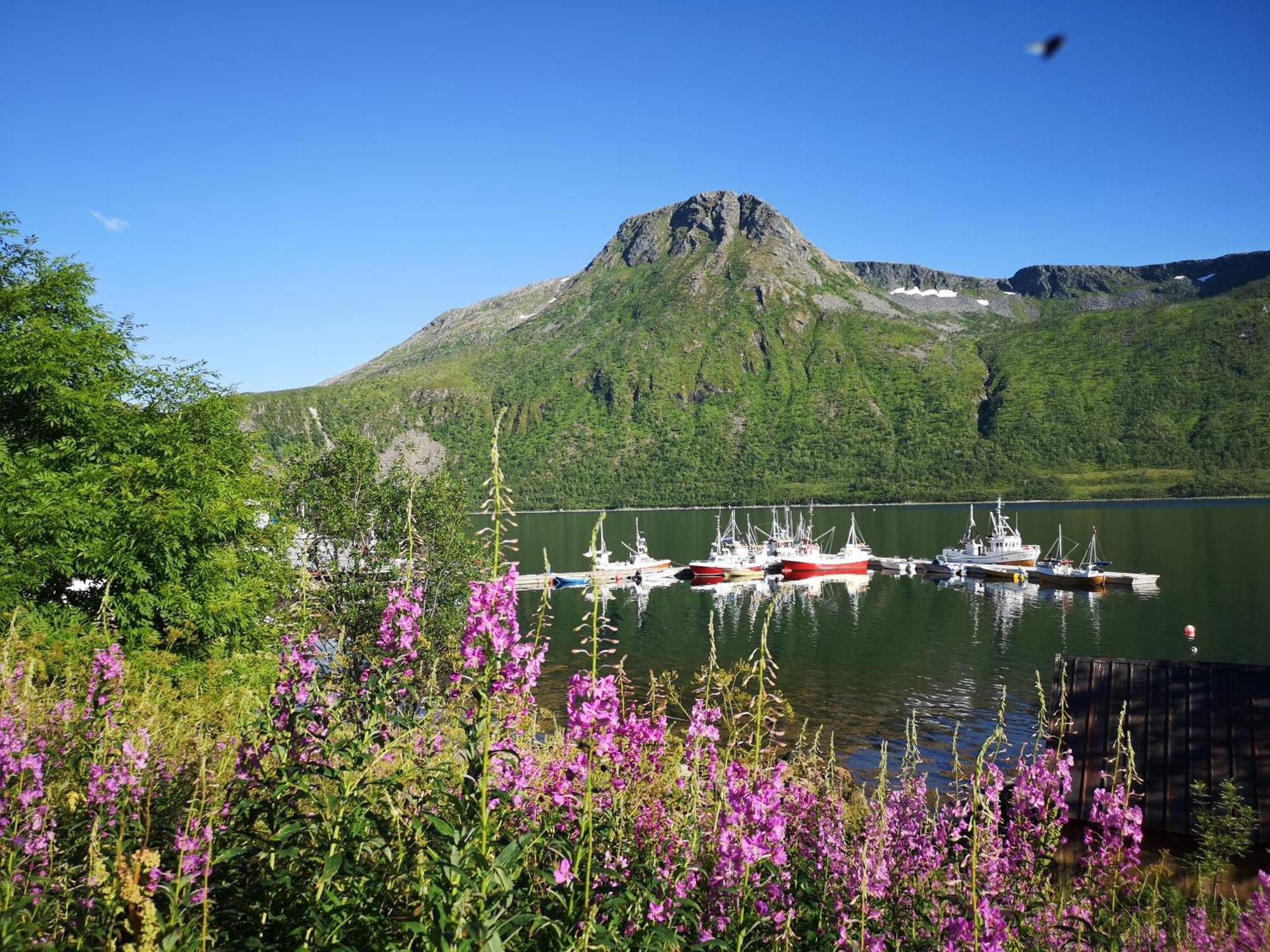 Ferrytale, Cozy, Spacious House On Senja Gryllefjord Luaran gambar