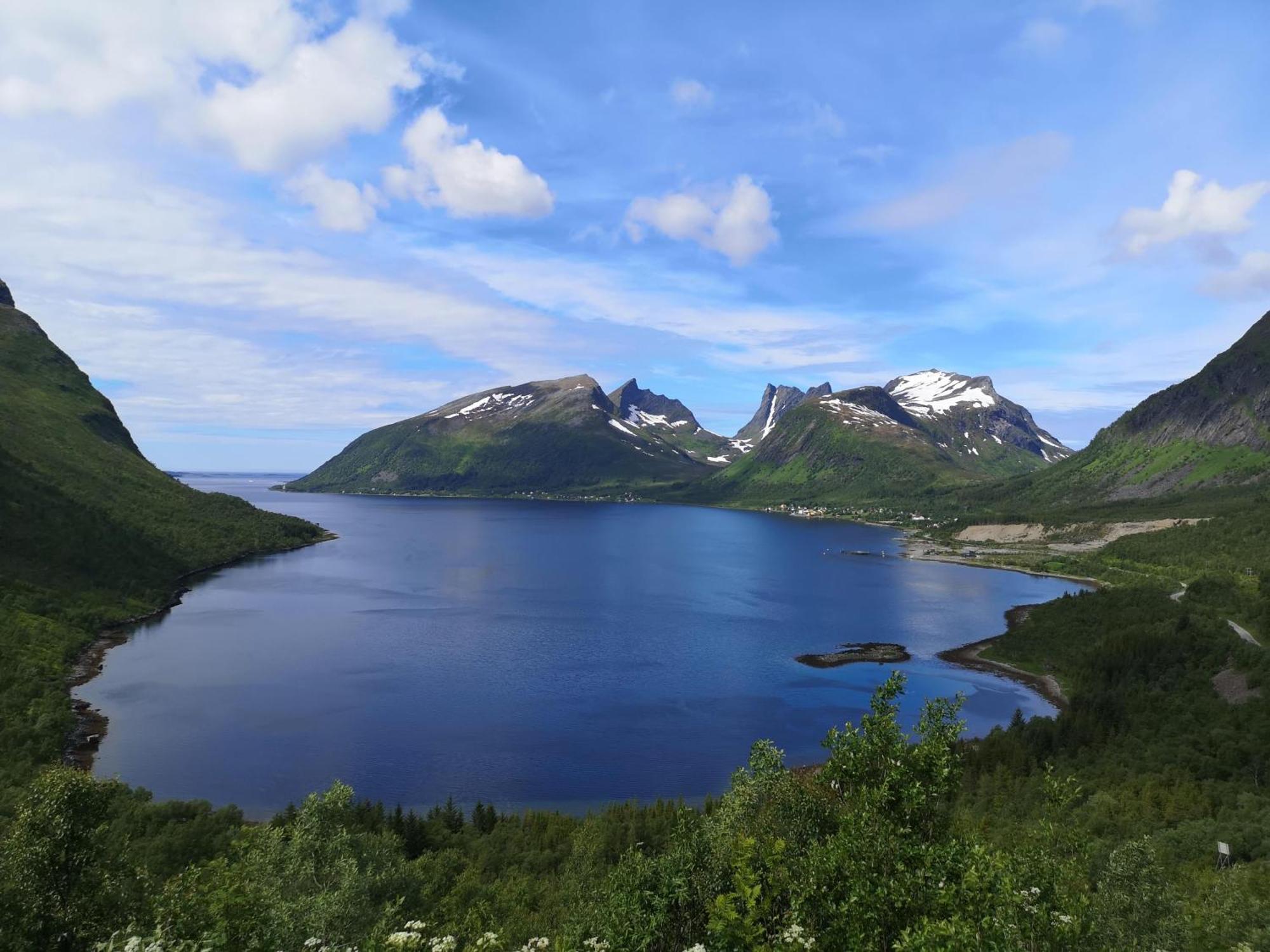Ferrytale, Cozy, Spacious House On Senja Gryllefjord Luaran gambar