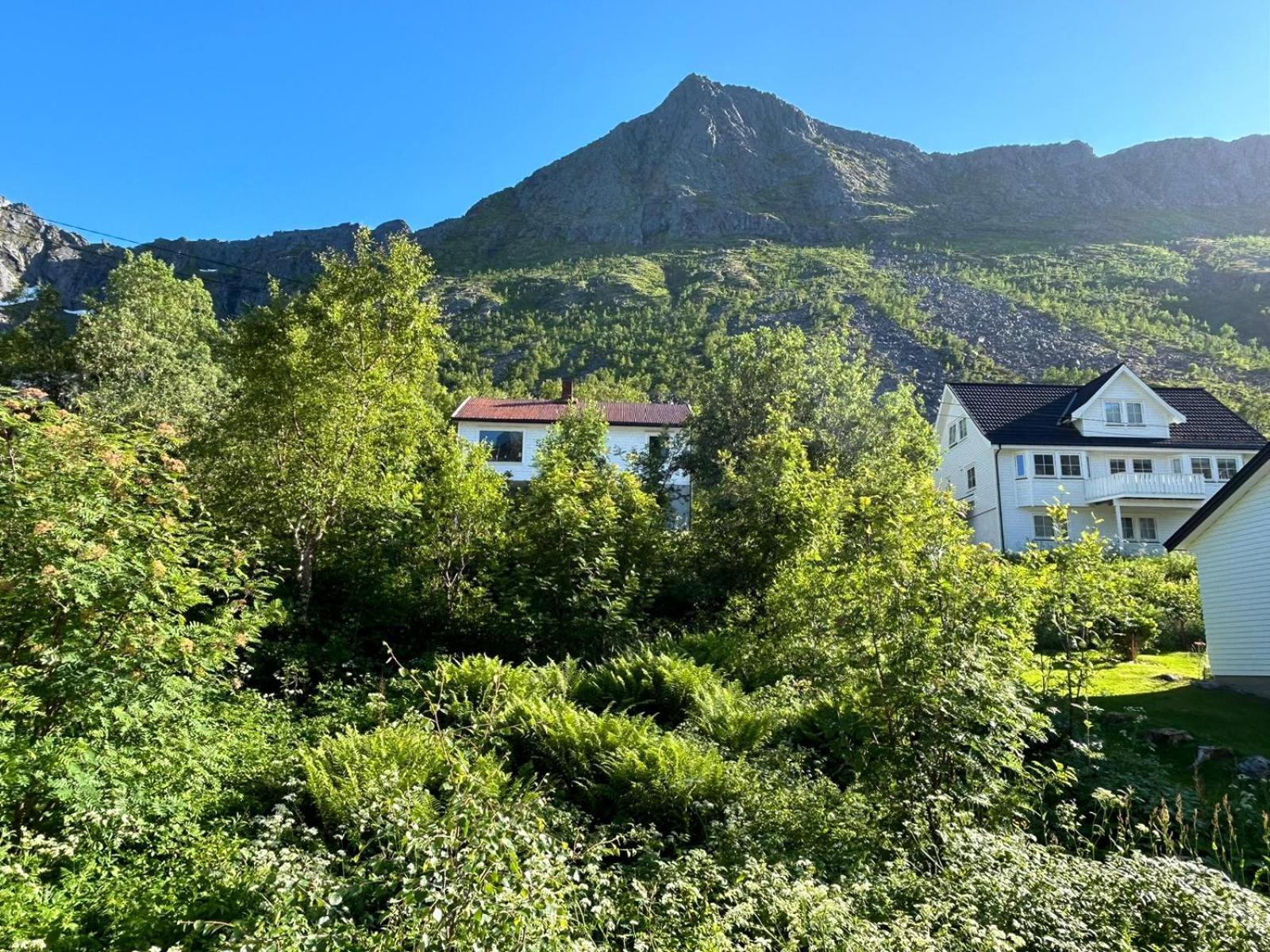 Ferrytale, Cozy, Spacious House On Senja Gryllefjord Luaran gambar