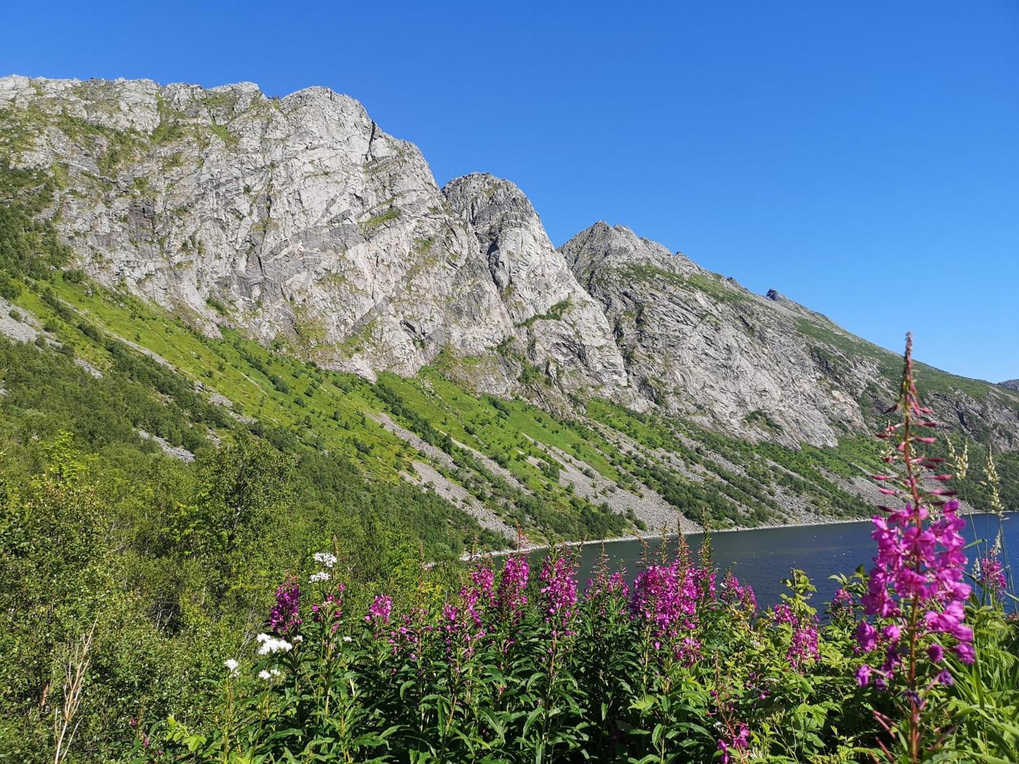 Ferrytale, Cozy, Spacious House On Senja Gryllefjord Luaran gambar
